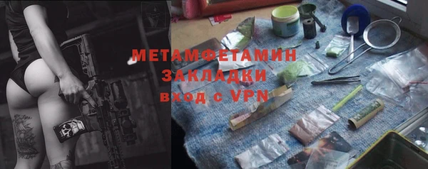 ПСИЛОЦИБИНОВЫЕ ГРИБЫ Ельня
